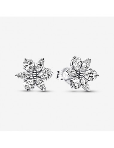 Herbier Scintillant - Blanc & Argent - Boucles d'oreilles Pandora commande en ligne