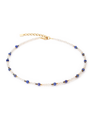 Collection 1109 - Bleu - Collier - Cœur de Lion Amélioration de cerveau avec