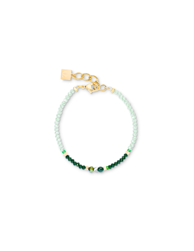 Collection 2035 - Vert - Bracelet - Cœur de Lion 2024