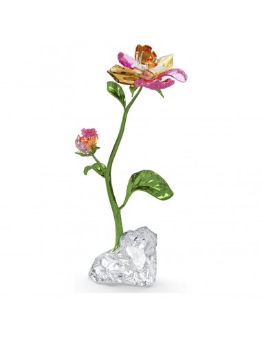 Idyllia - Fleur - Figurine - Swarovski pas cheres